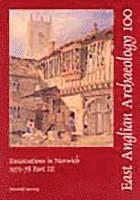 bokomslag EAA 100: Excavations in Norwich 1971-8 Part 3