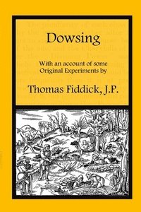 bokomslag Dowsing