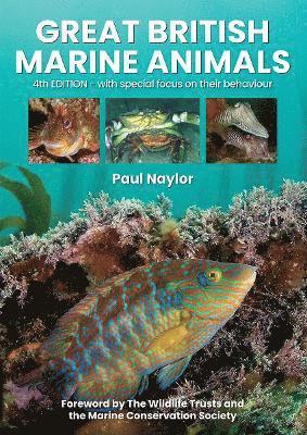 Paul Naylor - Great British Marine Animals, Häftad