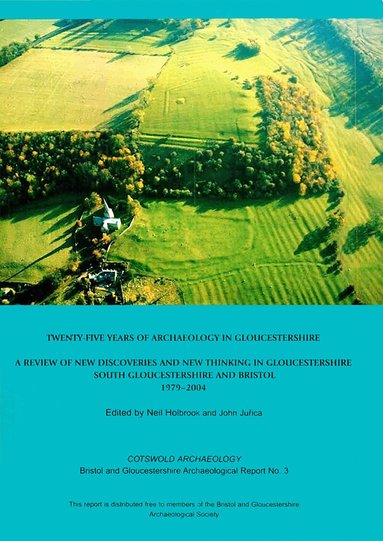 Neil Holbrook, John Jurica - Twenty-five Years of Archaeology in Gloucestershire, Häftad