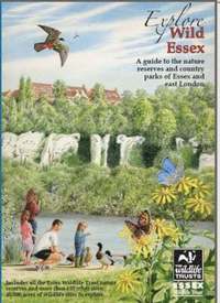 bokomslag Explore Wild Essex