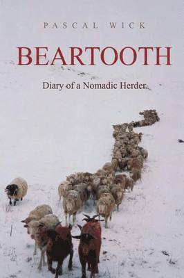 bokomslag Beartooth - Diary of a Nomadic Herder