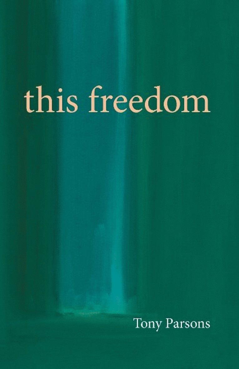 Tony Parsons - This Freedom, Häftad
