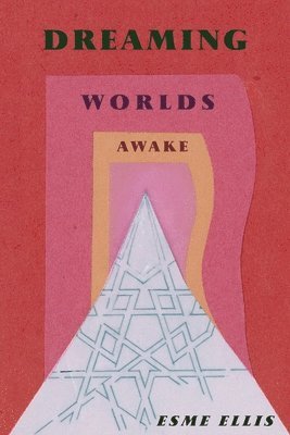 bokomslag DREAMING WORLDS AWAKE