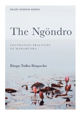 Ngondro, Preliminary Practices to Mahamudra