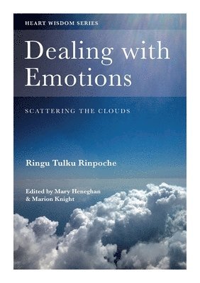 Dealing with Emotions 1