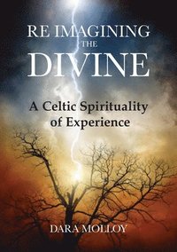 bokomslag Reimagining The Divine