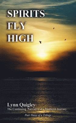 Lynn Margaret Quigley - Spirits Fly High, Häftad