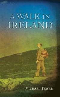 bokomslag A Walk in Ireland