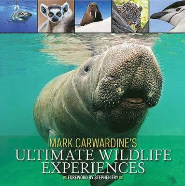 bokomslag Mark Carwardine's Ultimate Wildlife Experiences