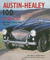 Austin Healey 100 In Detail 1