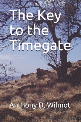 bokomslag The Key to the Timegate