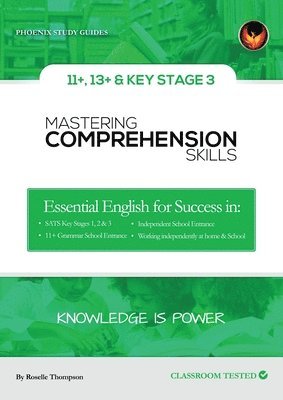 bokomslag Mastering Comprehension Skills