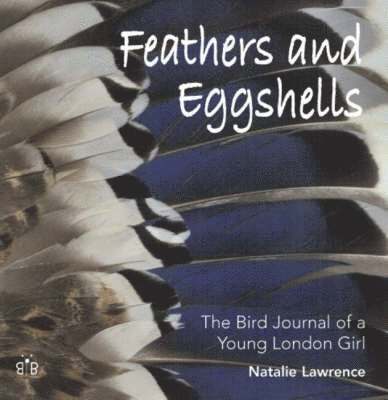 Feathers and Eggshells 1