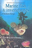 bokomslag Marine Fish & Invertebrates of Northern Europe