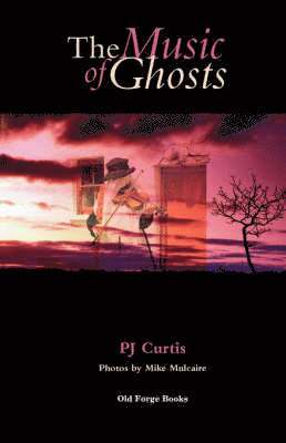 bokomslag The Music of Ghosts