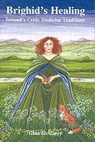 Gina McGarry - Brighid's Healing, Häftad