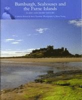 Bamburgh, Seahouses and the Farne Islands