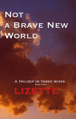 bokomslag Not a Brave New World: Lizette: Book - 3