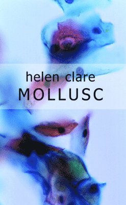 Helen Clare - Mollusc, Häftad. Tillgänglighet: Lägg i varukorg