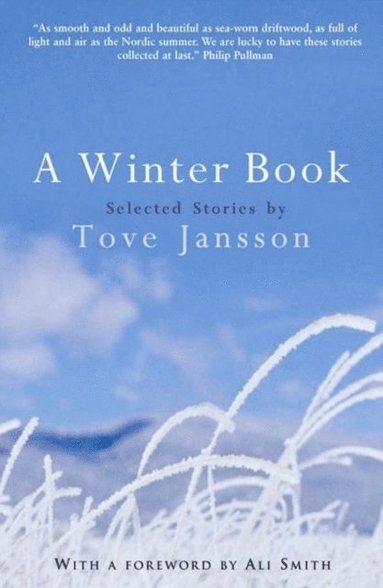 bokomslag A Winter Book