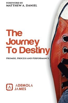 Ademola James - The Journey to Destiny: Promise, Process & Performance, Häftad