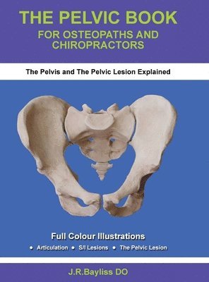 bokomslag Pelvic Book for Osteopaths and Chiropractors