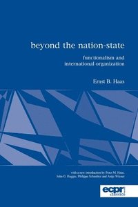 bokomslag Beyond the Nation-State