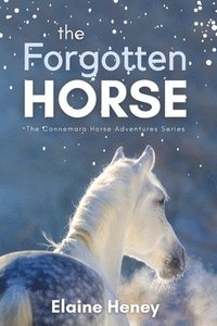 bokomslag The Forgotten Horse