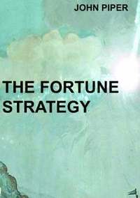 bokomslag The Fortune Strategy