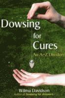 bokomslag Dowsing for Cures