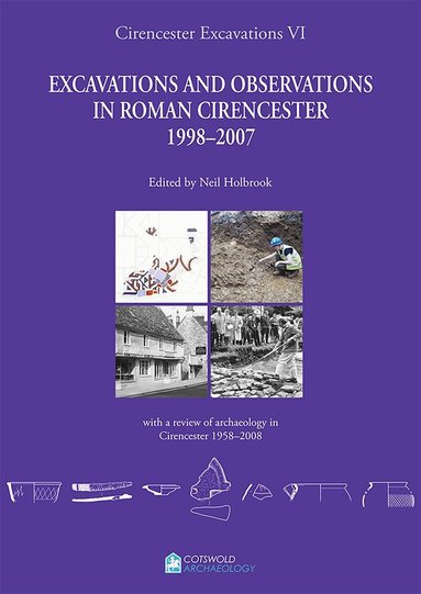 Neil Holbrook - Cirencester Excavations VI, Häftad