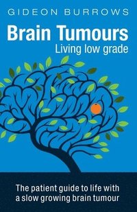bokomslag Brain Tumours: Living Low Grade