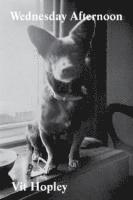 Vit Hopley - Wednesday Afternoon, Häftad