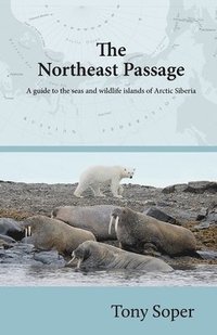 bokomslag The Northeast Passage