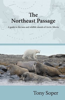bokomslag Northeast Passage