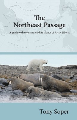 The Northeast Passage 1