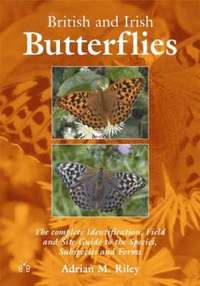 bokomslag British and Irish Butterflies