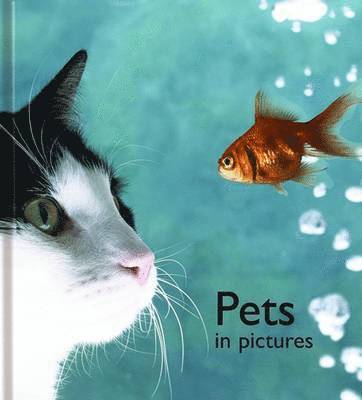 Pets in Pictures 1