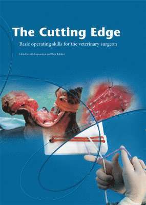 Jolle Kirpensteijn, Wim Klein - Cutting Edge, Inbunden