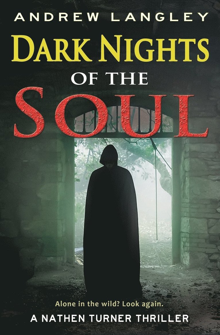 Dark Nights of the Soul: A Nathen Turner Thriller 1