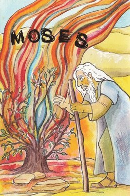 bokomslag Moses the Shepherd