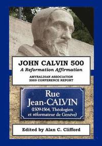 bokomslag John Calvin 500