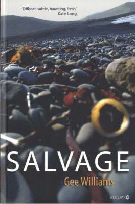 Salvage 1