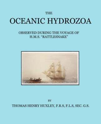 The Oceanic Hydrozoa 1