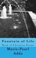 bokomslag Fountain of Life