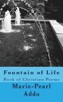 Fountain of Life 1