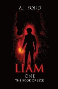 bokomslag Liam