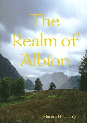 bokomslag Realm of Albion