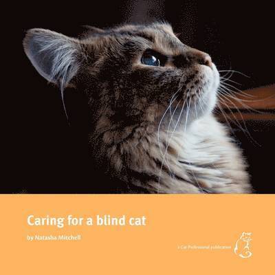 Natasha Mitchell - Caring for a Blind Cat, Häftad